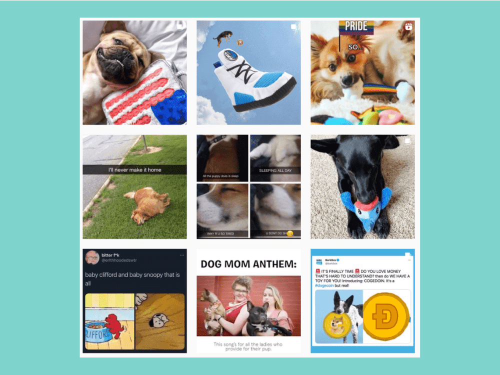 pasted image 0 (10).png